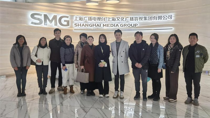 VI设计品牌全案流程揭秘：合同模板的重要性
